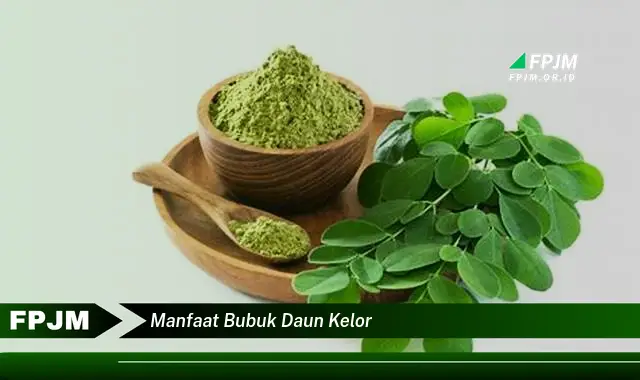 manfaat bubuk daun kelor