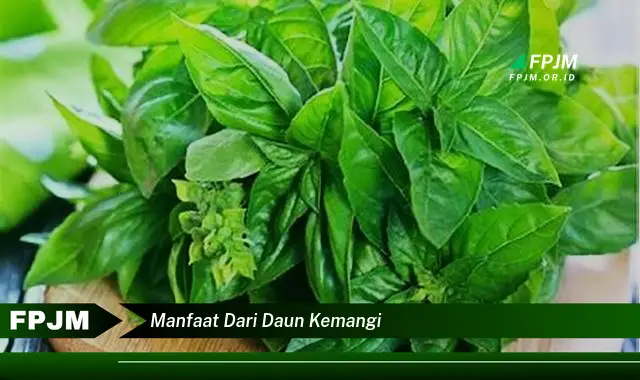 Ketahui 9 Manfaat Daun Kemangi untuk Kesehatan, Kecantikan, dan Masakan