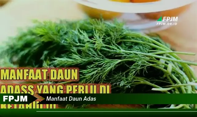 manfaat daun adas