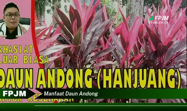 manfaat daun andong