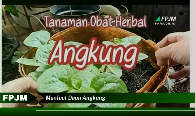 manfaat daun angkung