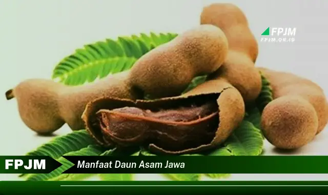 Ketahui 9 Manfaat Daun Asam Jawa untuk Kesehatan Tubuh Anda