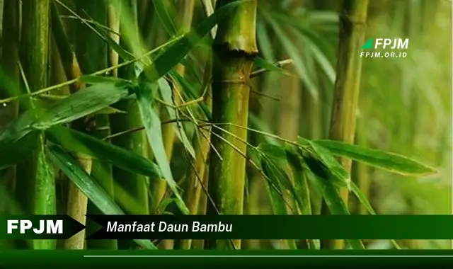 manfaat daun bambu