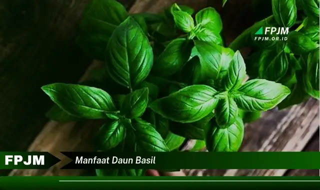 manfaat daun basil