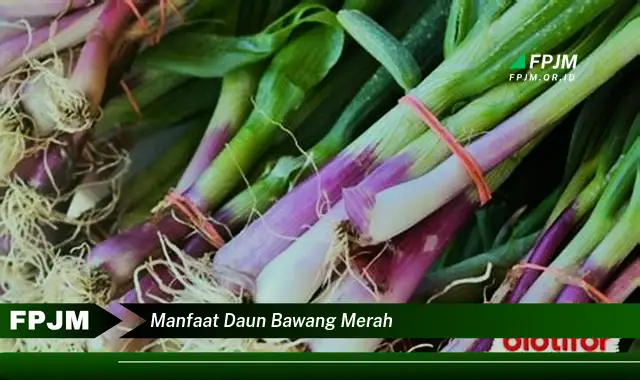 Ketahui 9 Manfaat Daun Bawang Merah untuk Kesehatan Tubuh Anda