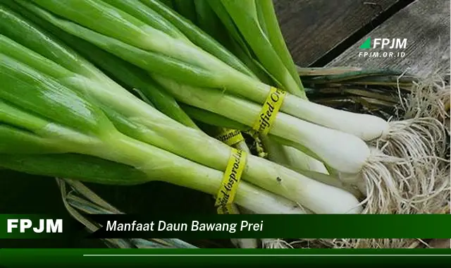 manfaat daun bawang prei