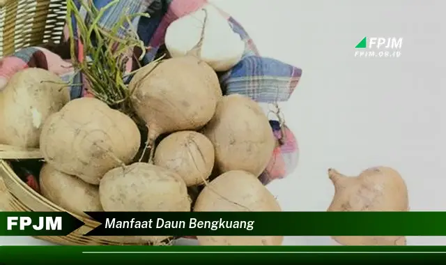 manfaat daun bengkuang