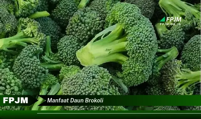 manfaat daun brokoli