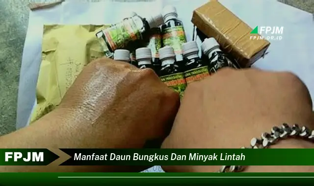 Ketahui 9 Manfaat Daun Bungkus dan Minyak Lintah untuk Kesehatan Anda