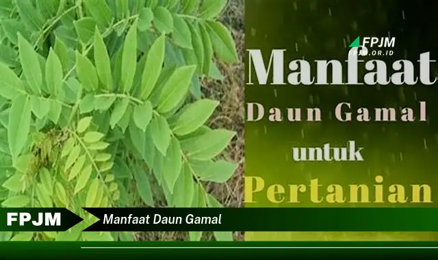 manfaat daun gamal