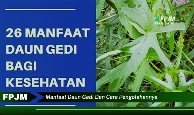 Ketahui 8 Manfaat Daun Gedi untuk Kesehatan dan Cara Mengolahnya dengan Mudah