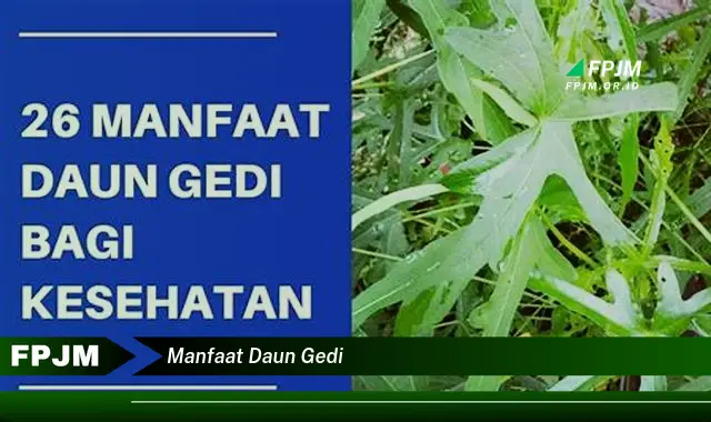 manfaat daun gedi