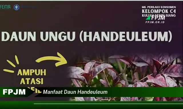 Ketahui 8 Manfaat Daun Handeuleum untuk Kesehatan dan Kecantikan