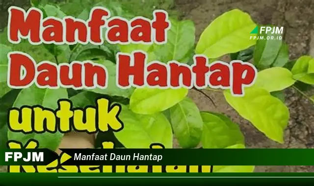 Ketahui 8 Manfaat Daun Hantap untuk Kesehatan Tubuh Anda