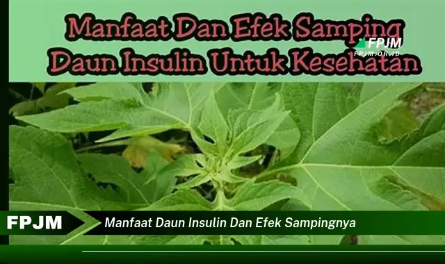 Ketahui 10 Manfaat Daun Insulin untuk Kesehatan dan Efek Samping yang Perlu Diwaspadai