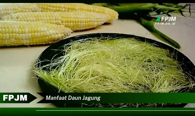 Ketahui 10 Manfaat Daun Jagung untuk Kesehatan Tubuh Anda