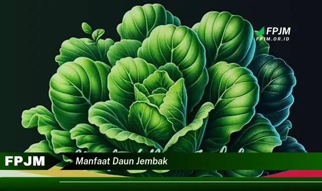 manfaat daun jembak