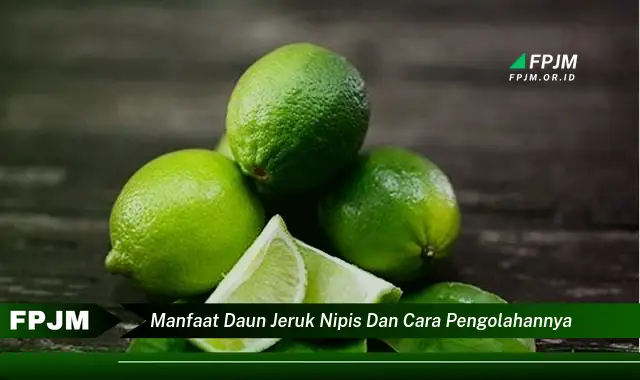 Ketahui 10 Manfaat Daun Jeruk Nipis untuk Kesehatan dan Kecantikan serta Cara Mengolahnya