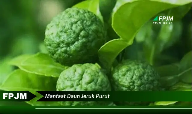 manfaat daun jeruk purut