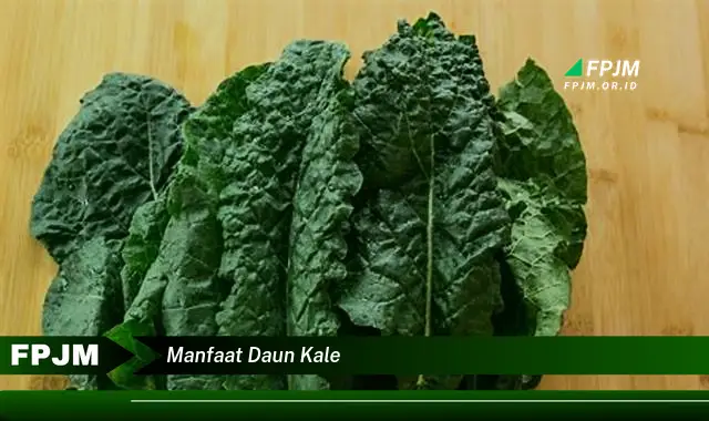 manfaat daun kale