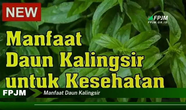 manfaat daun kalingsir