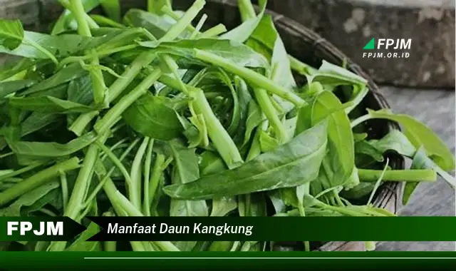 Ketahui 10 Manfaat Daun Kangkung untuk Kesehatan Tubuh Anda