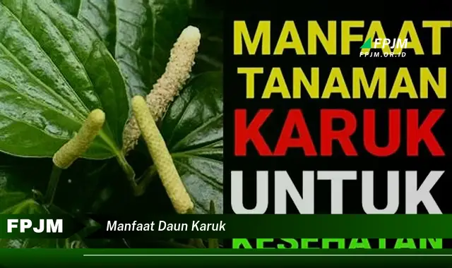 Ketahui 8 Manfaat Daun Karuk untuk Kesehatan Tubuh Anda