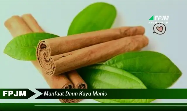 manfaat daun kayu manis