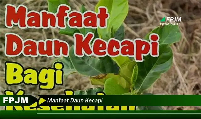 manfaat daun kecapi