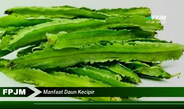 manfaat daun kecipir