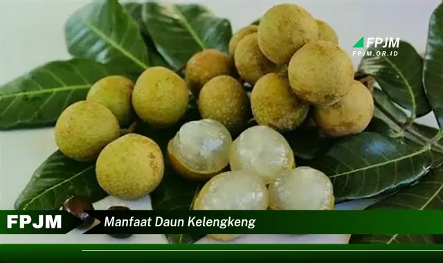 manfaat daun kelengkeng