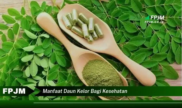 Ketahui 8 Manfaat Daun Kelor bagi Kesehatan, Meningkatkan Imunitas dan Menjaga Kesehatan Tubuh