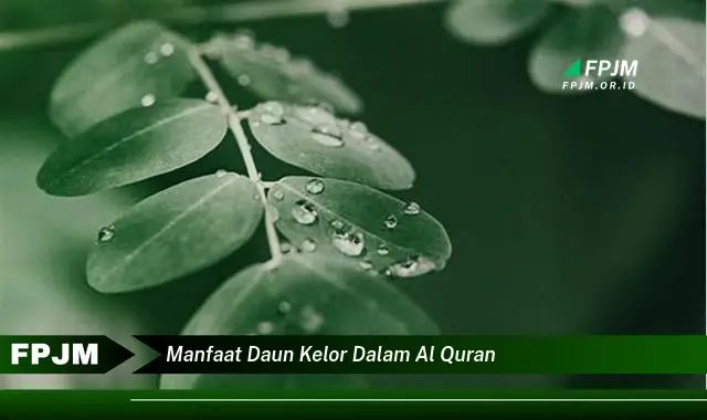 manfaat daun kelor dalam al quran