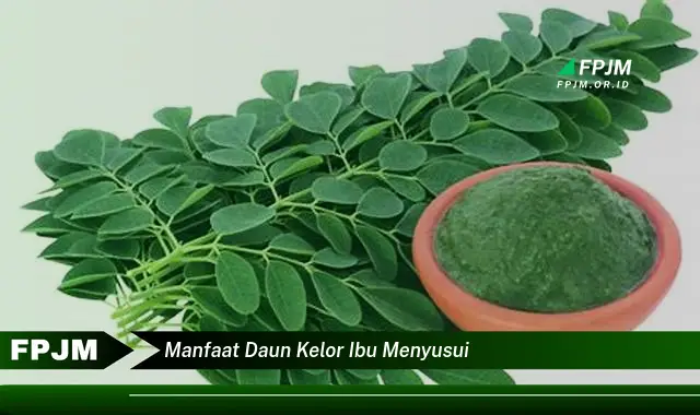 Ketahui 8 Manfaat Daun Kelor untuk Ibu Menyusui, Meningkatkan Kualitas & Kuantitas ASI