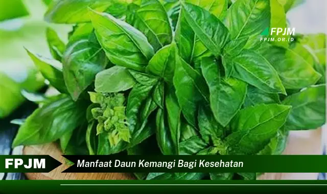 manfaat daun kemangi bagi kesehatan