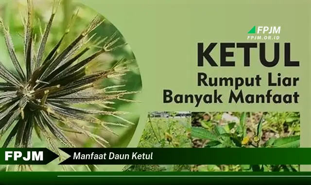 manfaat daun ketul