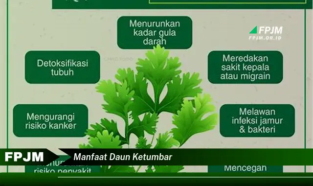 Ketahui 8 Manfaat Daun Ketumbar untuk Kesehatan Tubuh Anda