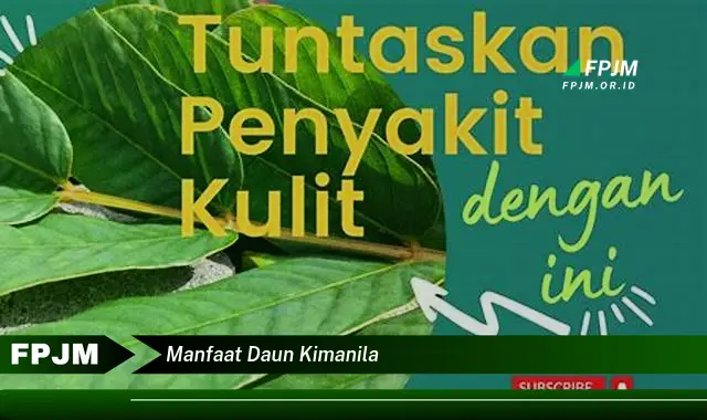 Ketahui 8 Manfaat Daun Kimanila untuk Kesehatan Tubuh Anda