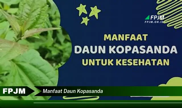 Ketahui 8 Manfaat Daun Kopasanda untuk Kesehatan Anda