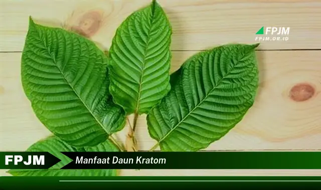 manfaat daun kratom