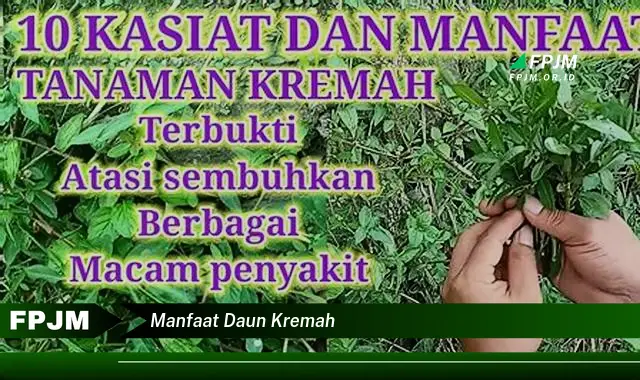 manfaat daun kremah