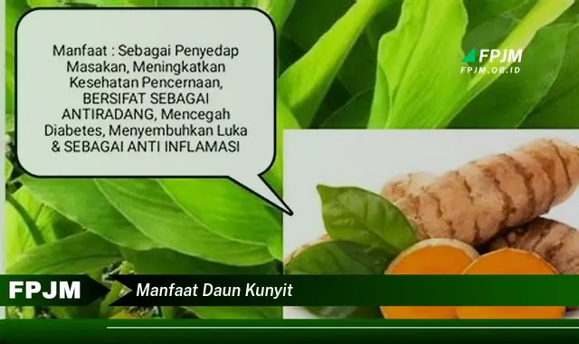 manfaat daun kunyit