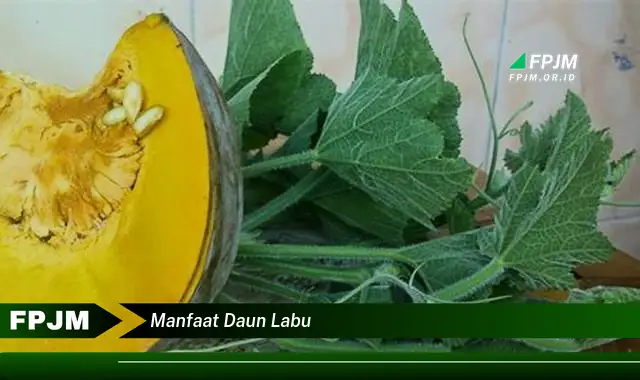 manfaat daun labu