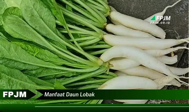 manfaat daun lobak