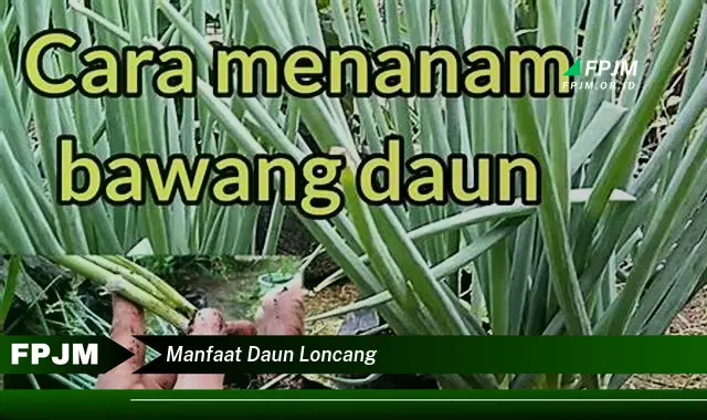 Ketahui 8 Manfaat Daun Loncang untuk Kesehatan Tubuh Anda