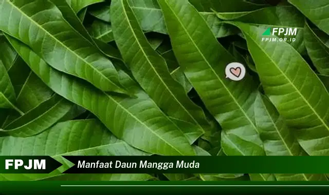 manfaat daun mangga muda