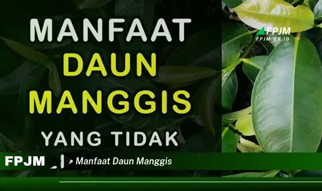 manfaat daun manggis