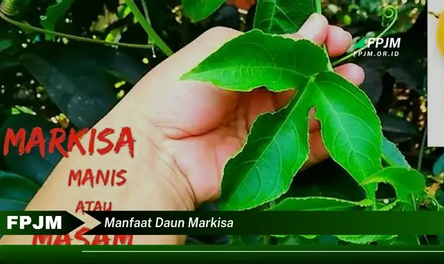 manfaat daun markisa