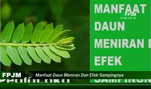 manfaat daun meniran dan efek sampingnya