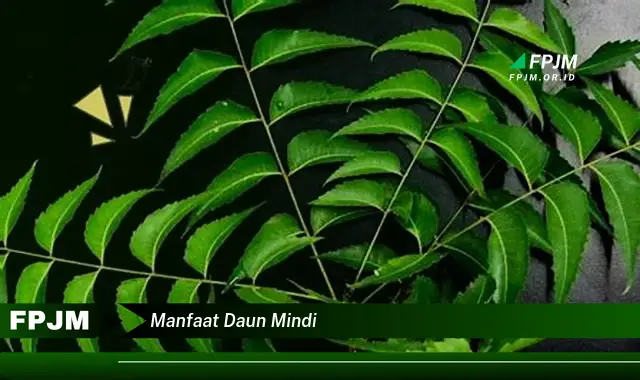 manfaat daun mindi